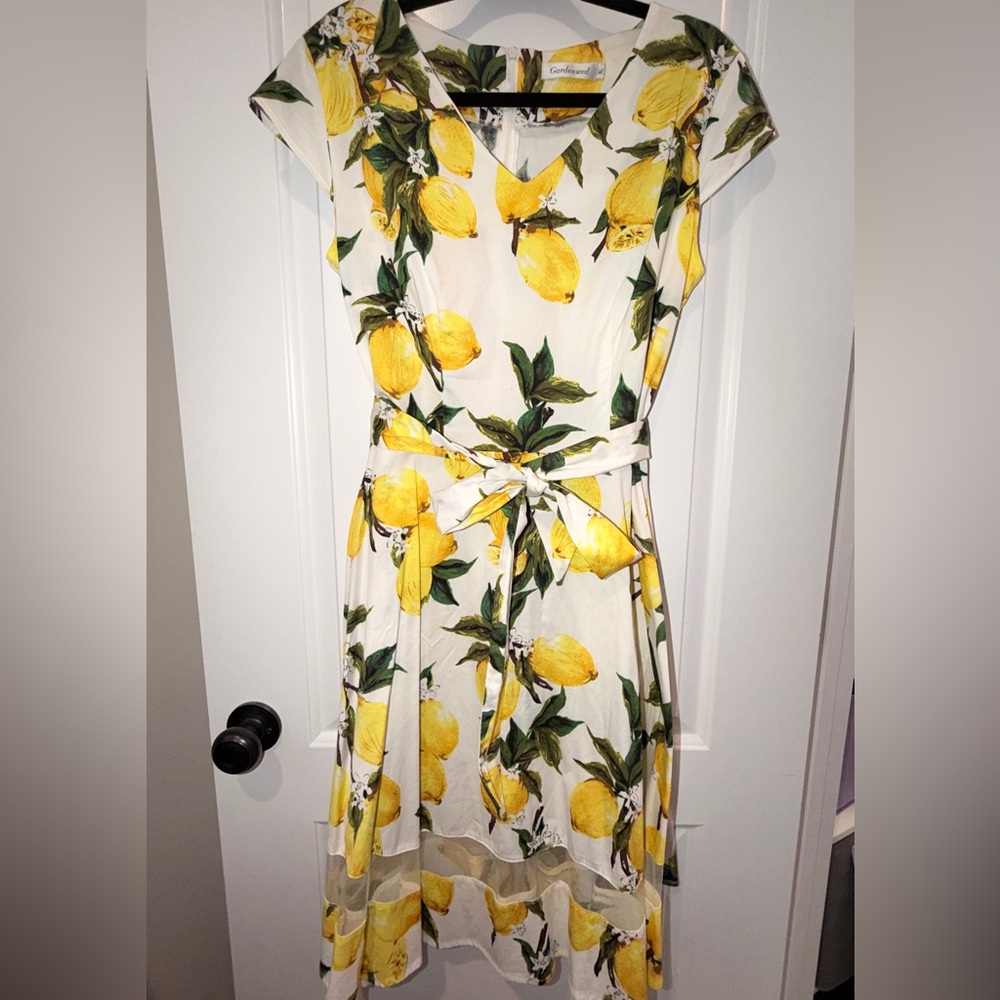 Lemon Print Dress with sheer mesh detail. Party dress with tie waist size XL